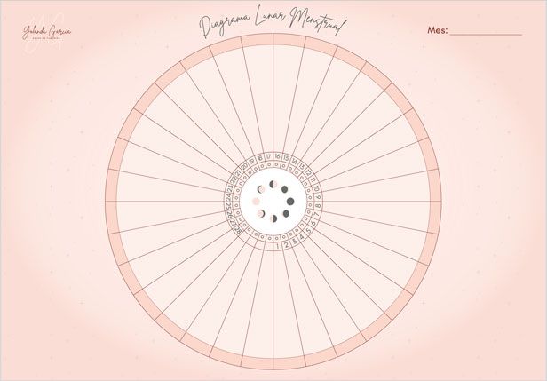 Diseño-Diagrama-menstrual